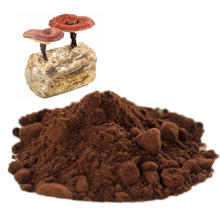 Lingzhi Coffee 3 in 1 Cordyceps Arabica with Chaga Mushroom Water Extracted Powder Packaged in Bag or Drum